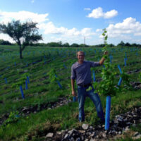 Customer with tree seedling supported and protected by Blue-X Grow Tubes