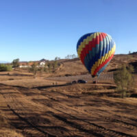 Hot air balloon and Blue-X Grow Tubes in planting rows