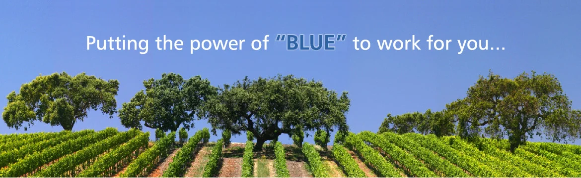 BLUE-X® Grow Tubes for Vineyard Managers