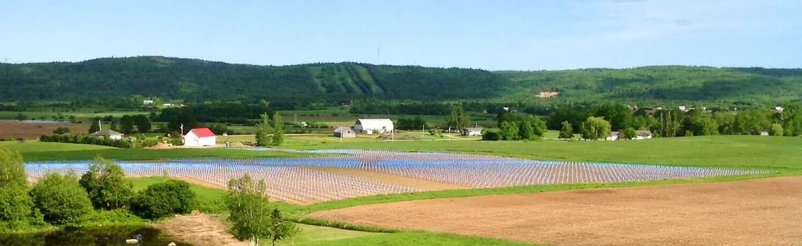 BLUE-X® Grow Tubes for Vineyard Managers